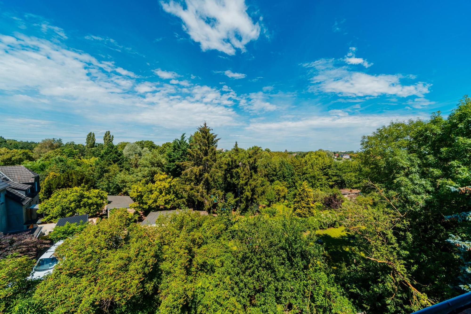 Zentrale Wohlfuehlwohnung - Ideal Fuer Ihren Urlaub Oder Die Geschaeftsreise Magdeburg Exteriör bild
